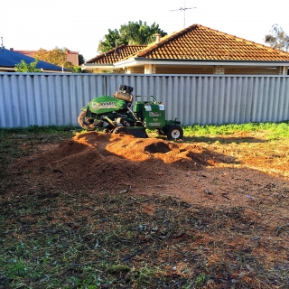 Stump grinding - Bentley Stump grinding - Bentley